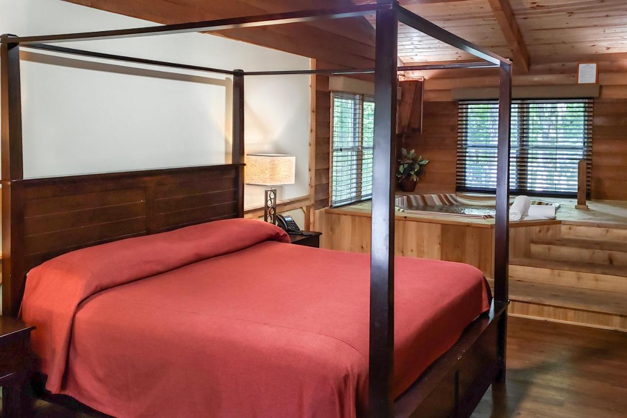 Forrest Hills Mountain Resort ダロネガ 部屋 写真