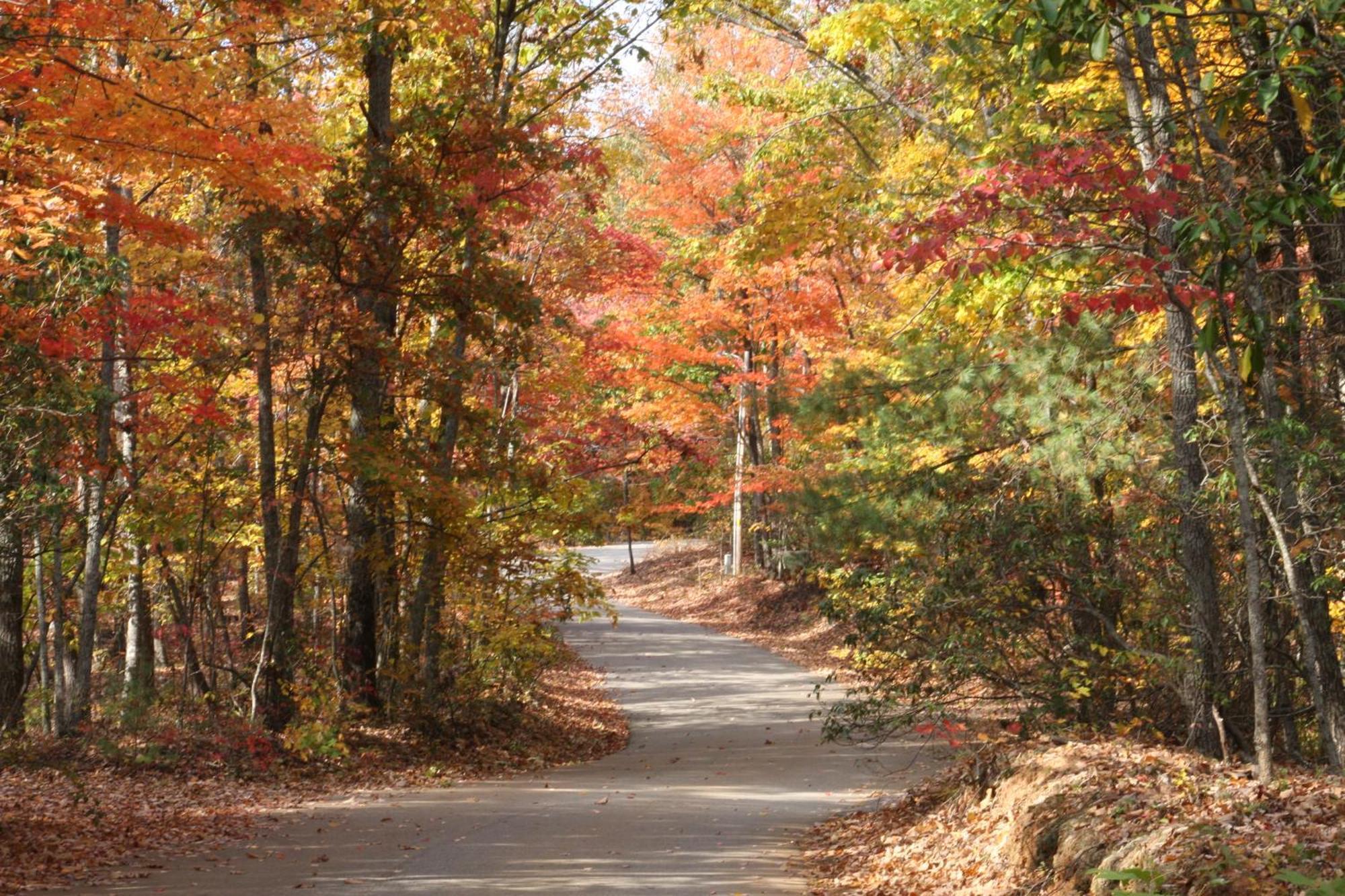 Forrest Hills Mountain Resort ダロネガ エクステリア 写真