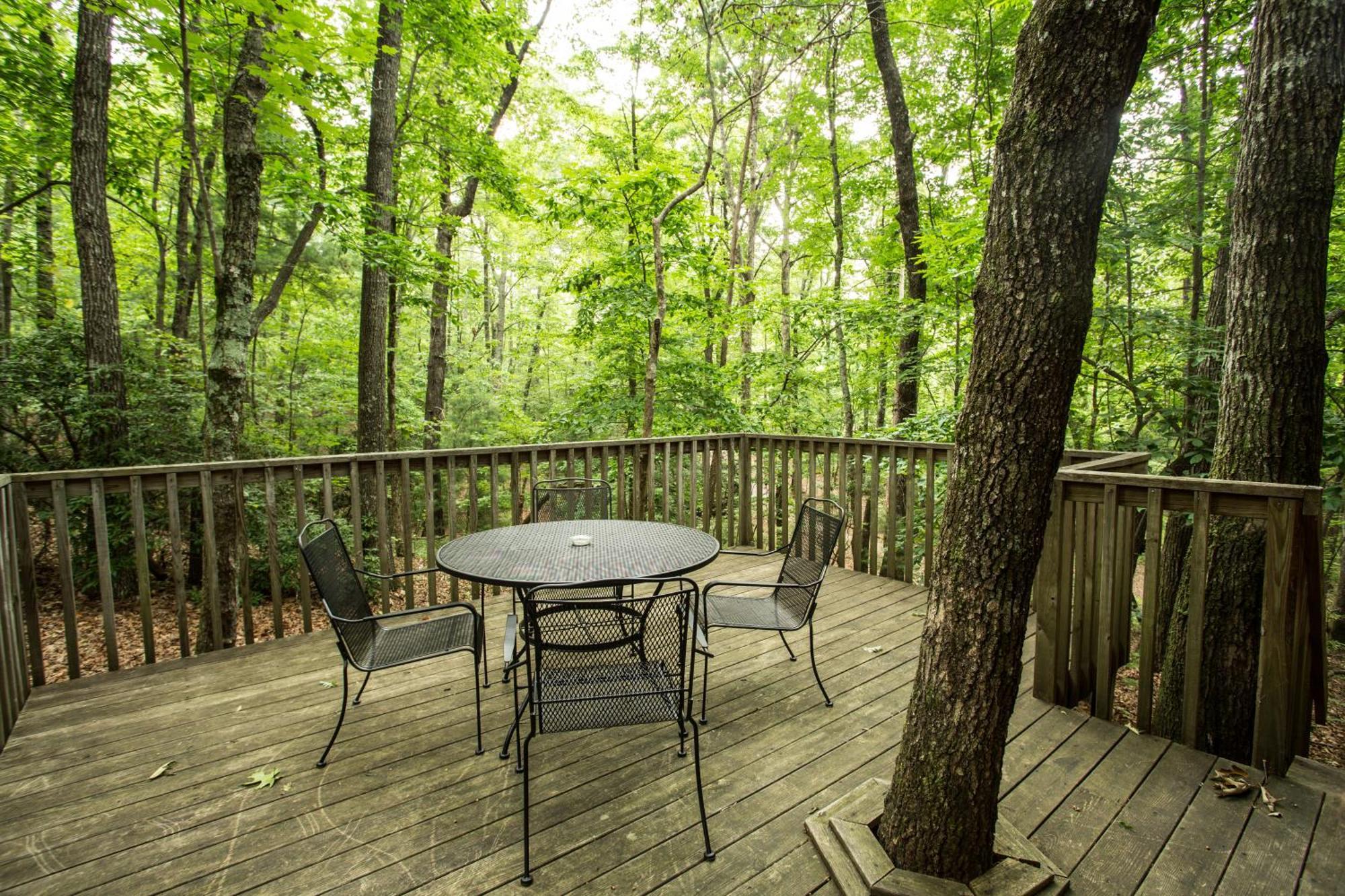 Forrest Hills Mountain Resort ダロネガ 部屋 写真