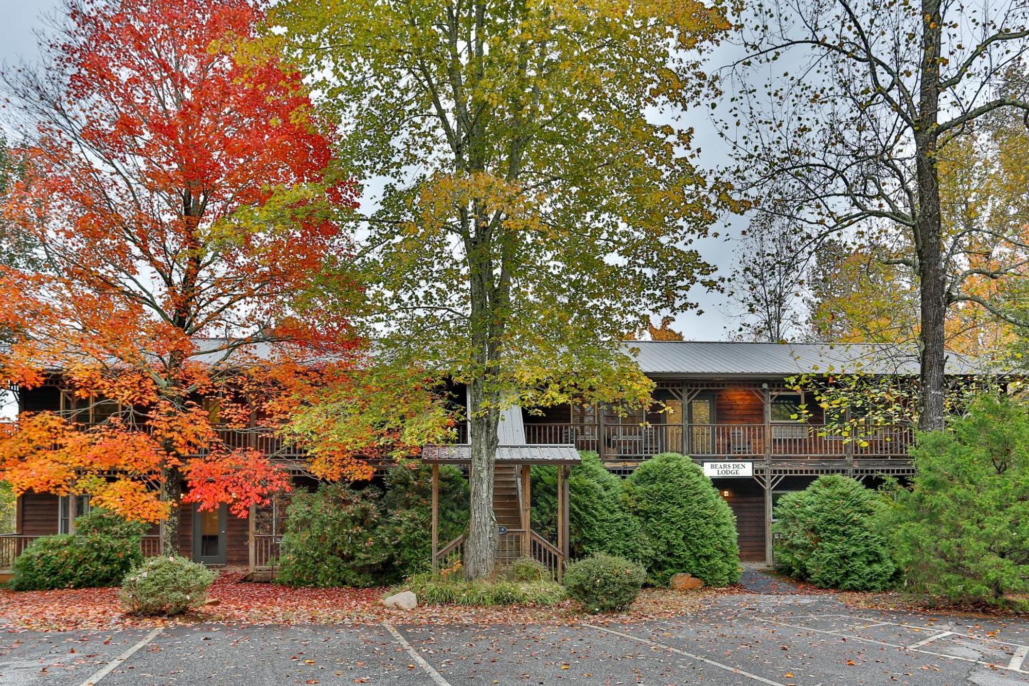 Forrest Hills Mountain Resort ダロネガ 部屋 写真